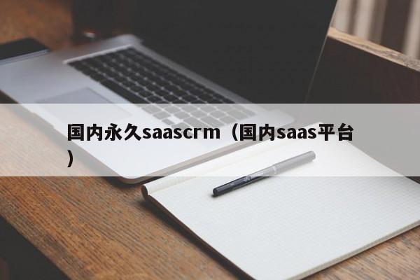 国内永久saascrm（国内saas平台）